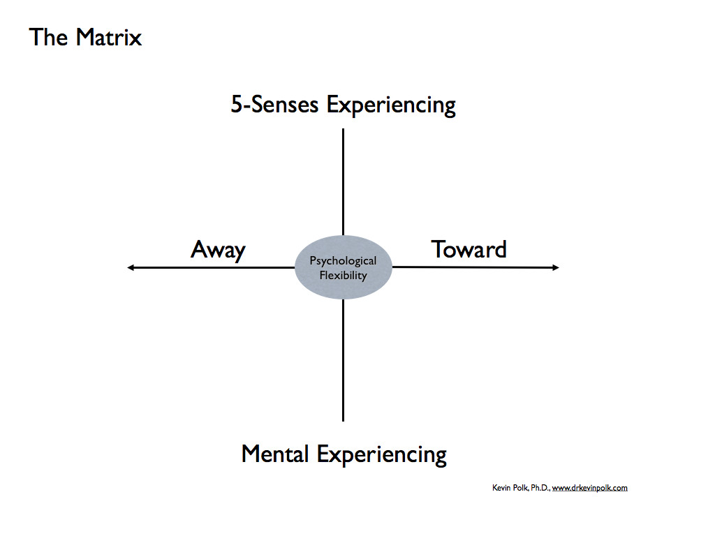 Evolving Highly Productive Prosocial Work Places Evolution Science Meets Act At Work Dr